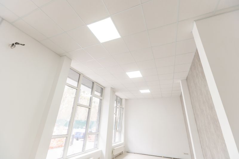 Acoustic Ceiling Replacement in Longmont, CO