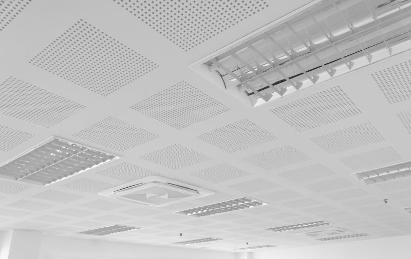Ceiling Panel Repair in Boulder, CO