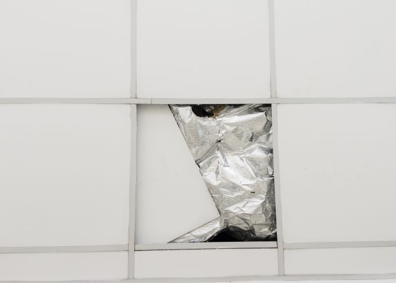 Ceiling Tiles Repair in Arvada, CO