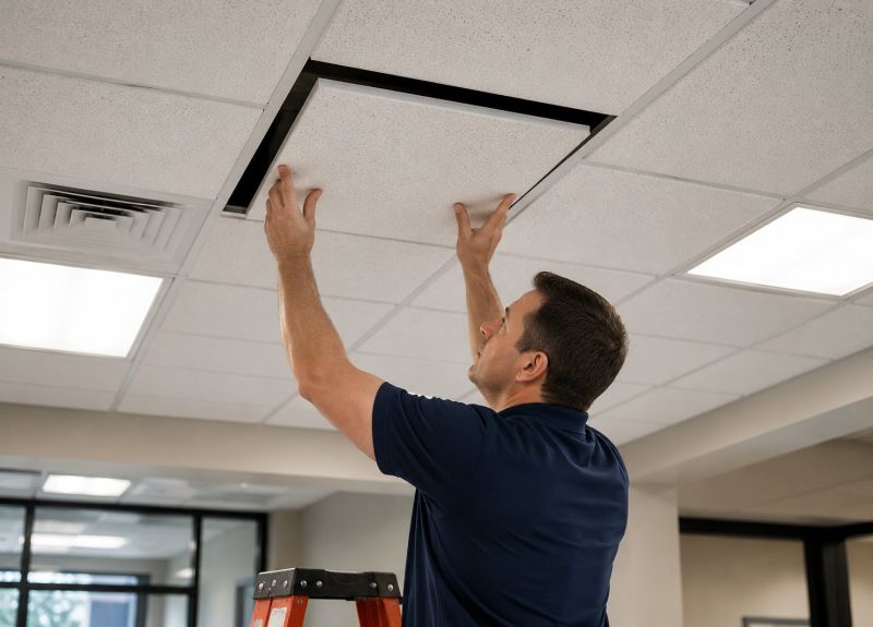 Ceiling Tiles Repair in Saint Augustine, FL