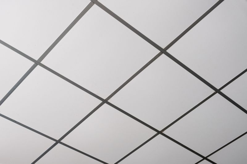 Grid Ceiling Installation in Boulder, CO