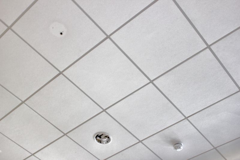 Tile Ceiling Installation in Arvada, CO