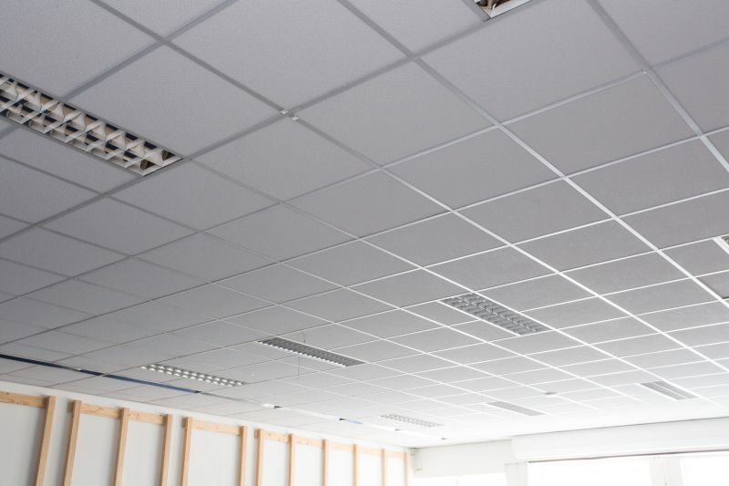 Tile Ceiling Installation in Longmont, CO